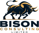 Bison Consulting Limited